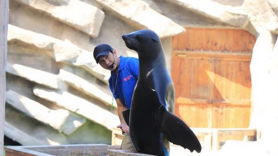 Abu Dhabi: Emirates Park Zoo Entry Ticket