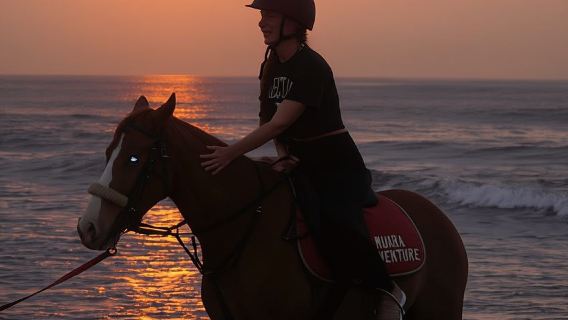 Bali: Horse Riding Sanur Beach Experience with Transport