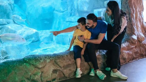 バルセロナ:乗り降り自由のバスと水族館ツアー