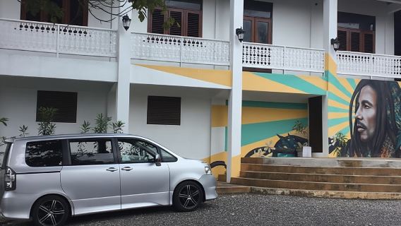 From Falmouth Bay: Bob Marley Museum and Nine Mile Tour