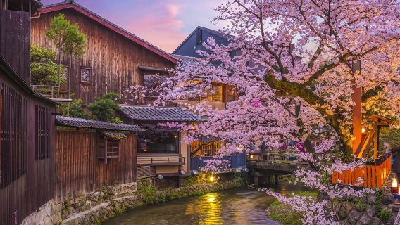 Kyoto: Tur Jalan Kaki Distrik Geisha Gion & Permata Tersembunyi