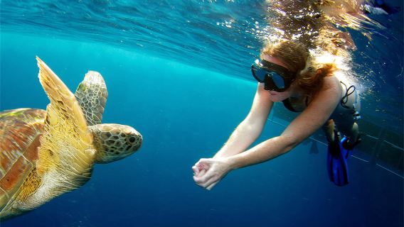 excursión de un día Similan, Phuket, Tailandia - Compañía de cruceros con amplia experiencia | Traslados por toda la isla | Diversos tipos de barco