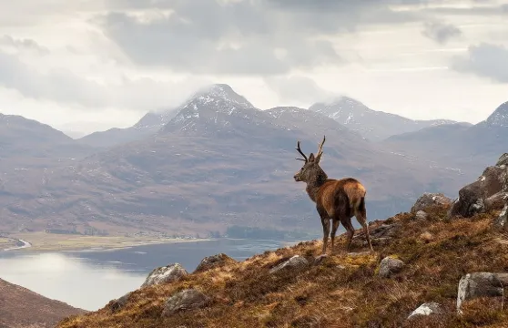 英國因佛內斯 北部高地之旅 阿普爾克羅斯+著名NC500環線