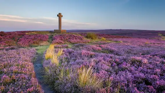 Moors, Whitby & The Yorkshire Steam Railway Day Trip from York