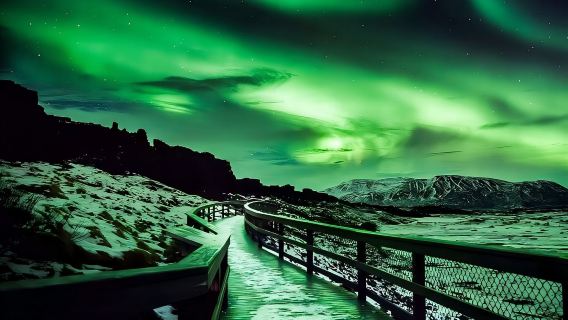 [Tour di gruppo a Reykjavik] Viaggio in bus per l'aurora boreale + avvistamento delfini