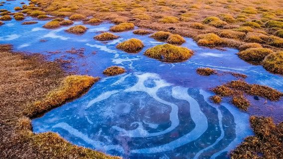 藍湖溫泉冰島黃金旅遊圈一日遊/中文司機包車接駁