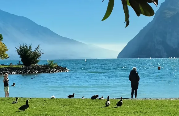 包車環湖之旅：西爾米奧奈+馬爾切西內+利莫內，三地深度體驗