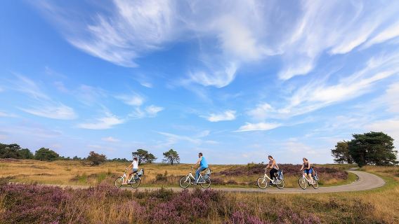 Tagesausflug nach Otterlo, Hoge Veluwe und Het Loo in den Niederlanden