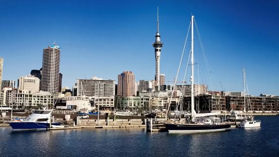 奧克蘭地標全覽｜天空塔 + 動物園 + 雙地標包車一日深度遊