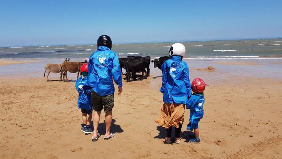 Essaouira P2: Guided Quad Bike Adventure with Hotel Pickup