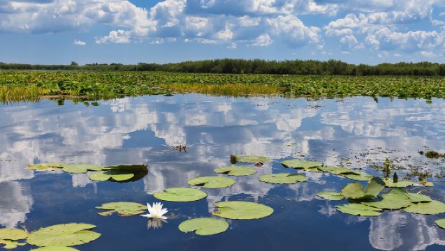 2 Days / 1 Night: Danube Delta Small Group Tour 