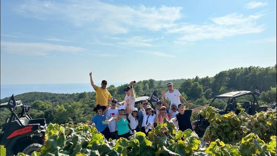 Korcula Buggy Safari Tur: Strande, Biveje & Vinsmagninger
