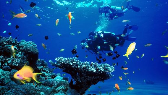 Full-Day Beginner Scuba Course with Private Tuition, Racha Yai