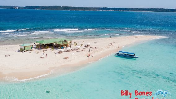 Billy Bones St. Maarten Getaway , Snorkeling with Turtles