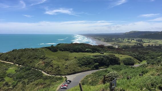 Tour panoramico del vino di Muriwai da Auckland
