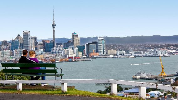 Half-Day Auckland City Guided Tour