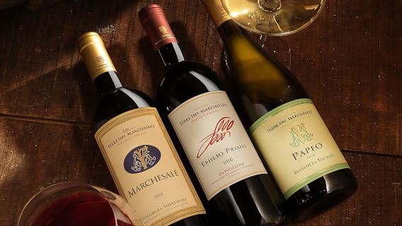 Classic wine tasting at Terre del Marchesato winery