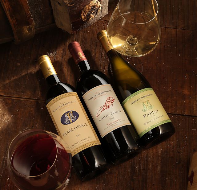 Classic wine tasting at Terre del Marchesato winery