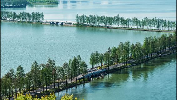 Уханьский университет + Восточное озеро + павильон Цинчуань + Весенняя прогулка по пляжу реки Ханькоу и любование цветением сакуры. Местный гид/ гид/переводчик G