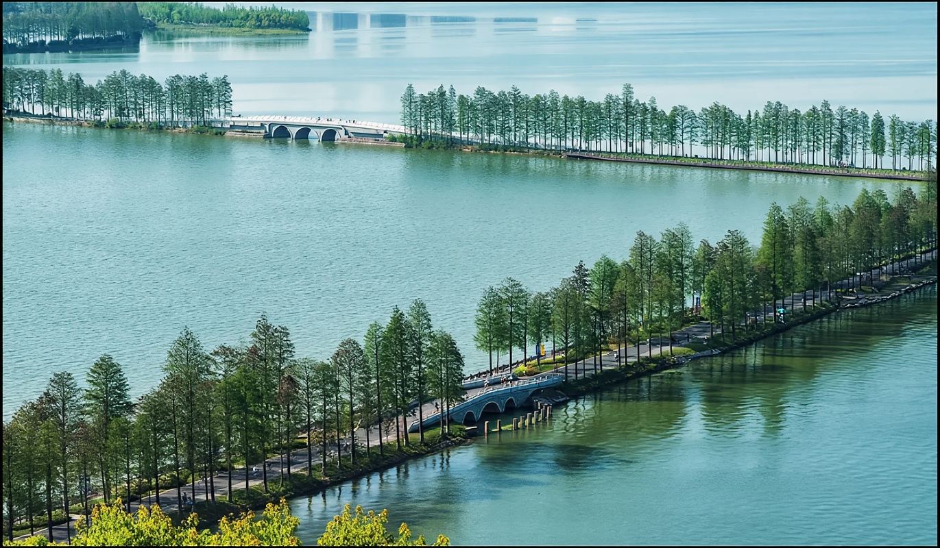 Wuhan + Università di Wuhan + Lago Donghu + Padiglione Qingchuan + Spiaggia del fiume Hankou Guida per ammirare i ciliegi in primavera/guida/traduttore G