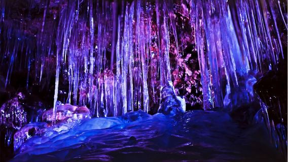 Depart from Tokyo | Fuji Sky Torii, Fugaku Wind Cave & Narusawa Ice Cave Hot Spring Day Tour - 180