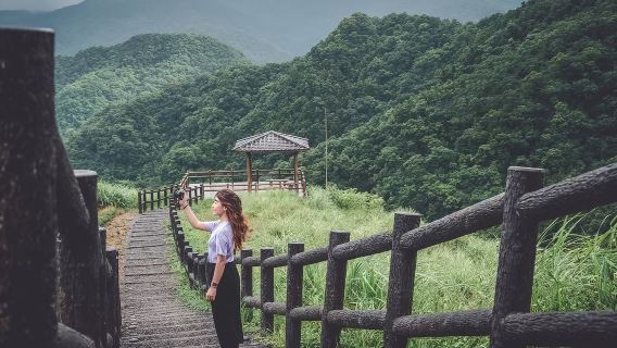 台灣觀光巴士.觀光局主導～坪林+貓空茶飄香{共乘.2人成行}