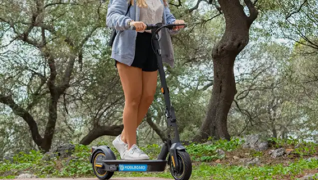 Nice Electric Scooter Rental - High range 