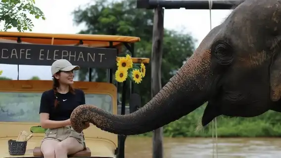 【十一特賣】清邁納財大象營+粘粘瀑布一日遊丨粑粑公園/竹漂流