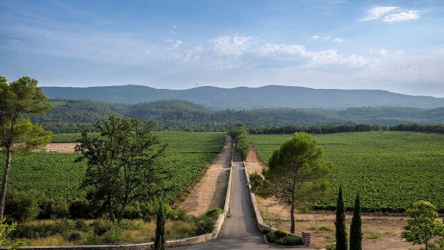 Provence Wine Tour - Small Group Tour from Nice