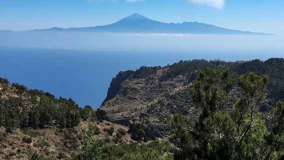 A day in La Gomera from Tenerife, with lunch