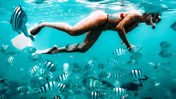 Gili ATM Three Islands Snorkeling: Join-in Tour + Departure from Gili T + Meeting Point + 4 Hours