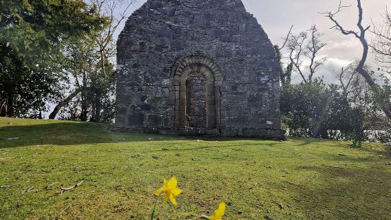 Killarney: gita in barca all'isola di Innisfallen, laghi di Killarney