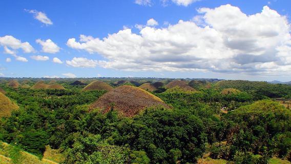 Cebu City