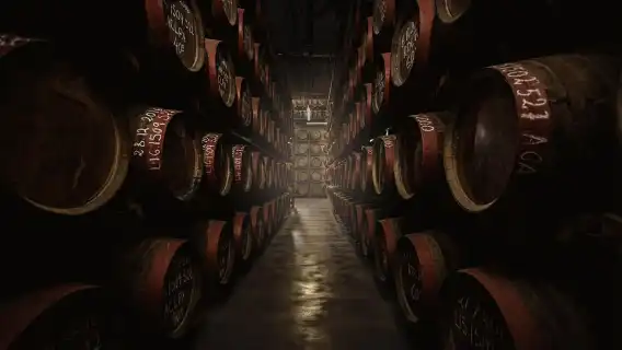 Tastes of Gran Canaria A Day of Flavours and Culture