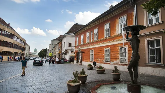 Budapest: tour a piedi del quartiere del Castello di Buda