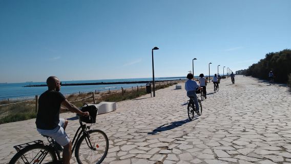 Tour in bici vegano Albufera/Piccola Venezia con paella e horchata