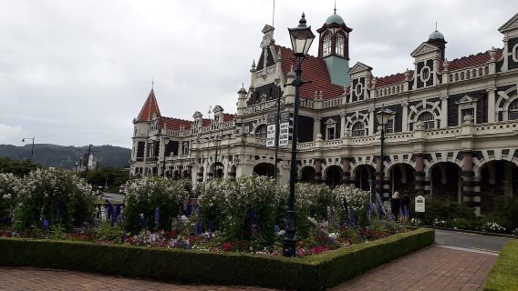 Dunedin: คาบสมุทรโอตาโกพร้อมทัวร์ชมนกเพนกวินพร้อมไกด์