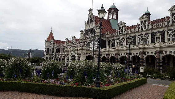 Dunedin: Otago-Halbinsel mit geführter Pinguin-Tour