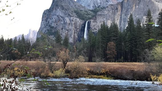 Dari SF: Yosemite Day Trip dengan Giant Sequoias Hike & Pickup