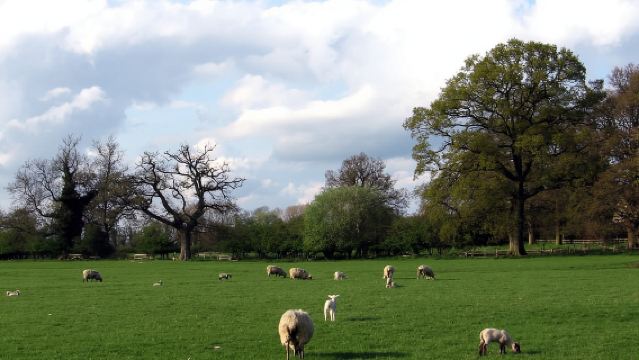 Von London aus: Ausflug nach Oxford, Stratford-upon-Avon und in die Cotswolds