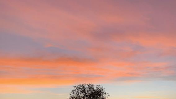 Tequisquiapan: UTV Adventure Tour with Guide