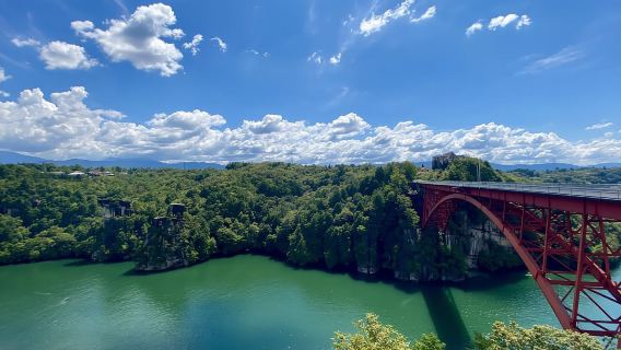 Từ Nagoya: Tour xe buýt 1D Enakyo, Magome-juku & Tsumago-juku