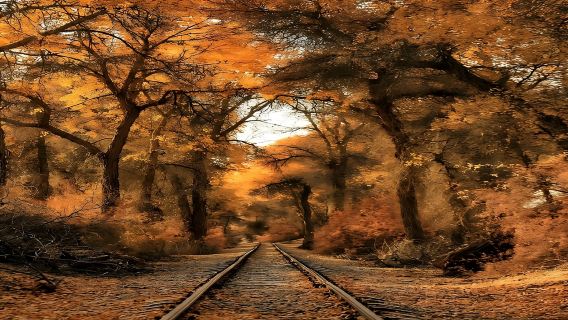 【包車遊】輪臺+塔里木胡楊林公園一日遊