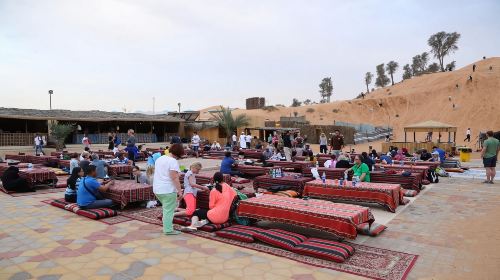 Ras Al Khaimah Desert Safari with Shared Transfer/Private Charter Option [Hotel Pick-up & Drop-off] Day Tours 9