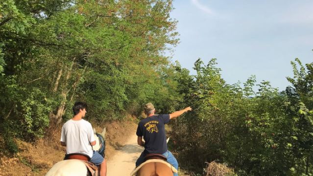 Verona: Horseback Riding and Wine Tasting Experience