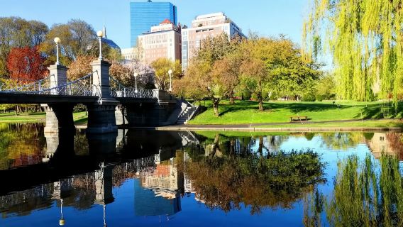 美國波士頓大學+自由之路+波士頓公園【經典之旅】