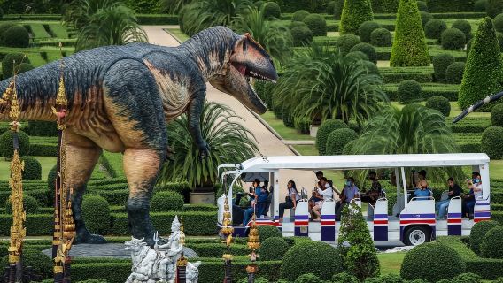 Pattaya: biglietto per il giardino tropicale di Nong Nooch per stranieri