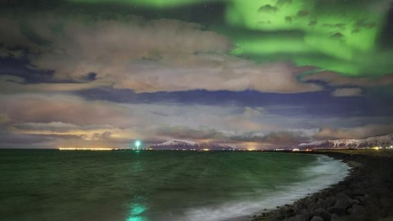 Northern Lights Mystery - with Transfers