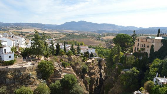 Desde Granada: Tour por los principales lugares de Ronda