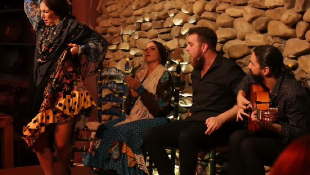 Malaga: Authentic Flamenco Show at El Gallo Ronco